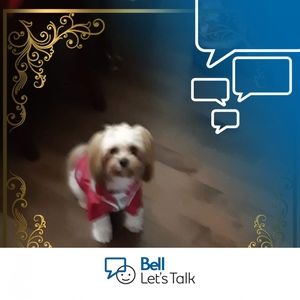 Meet your Posher, Barbara